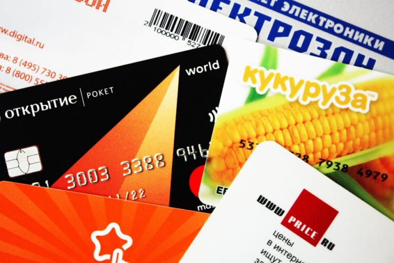 how to check your credit score